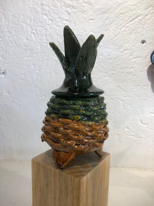 Piña de San José de Gracia