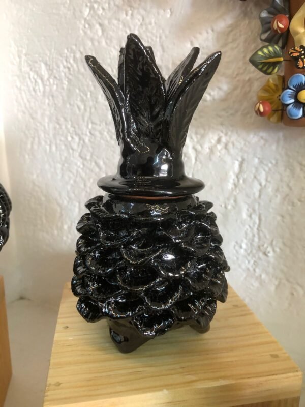 Piña de San José de Gracia Piña de San José de Gracia